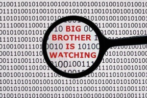 BigBrother